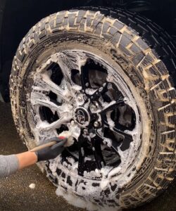 Cleaning Wheel with boar hair brush